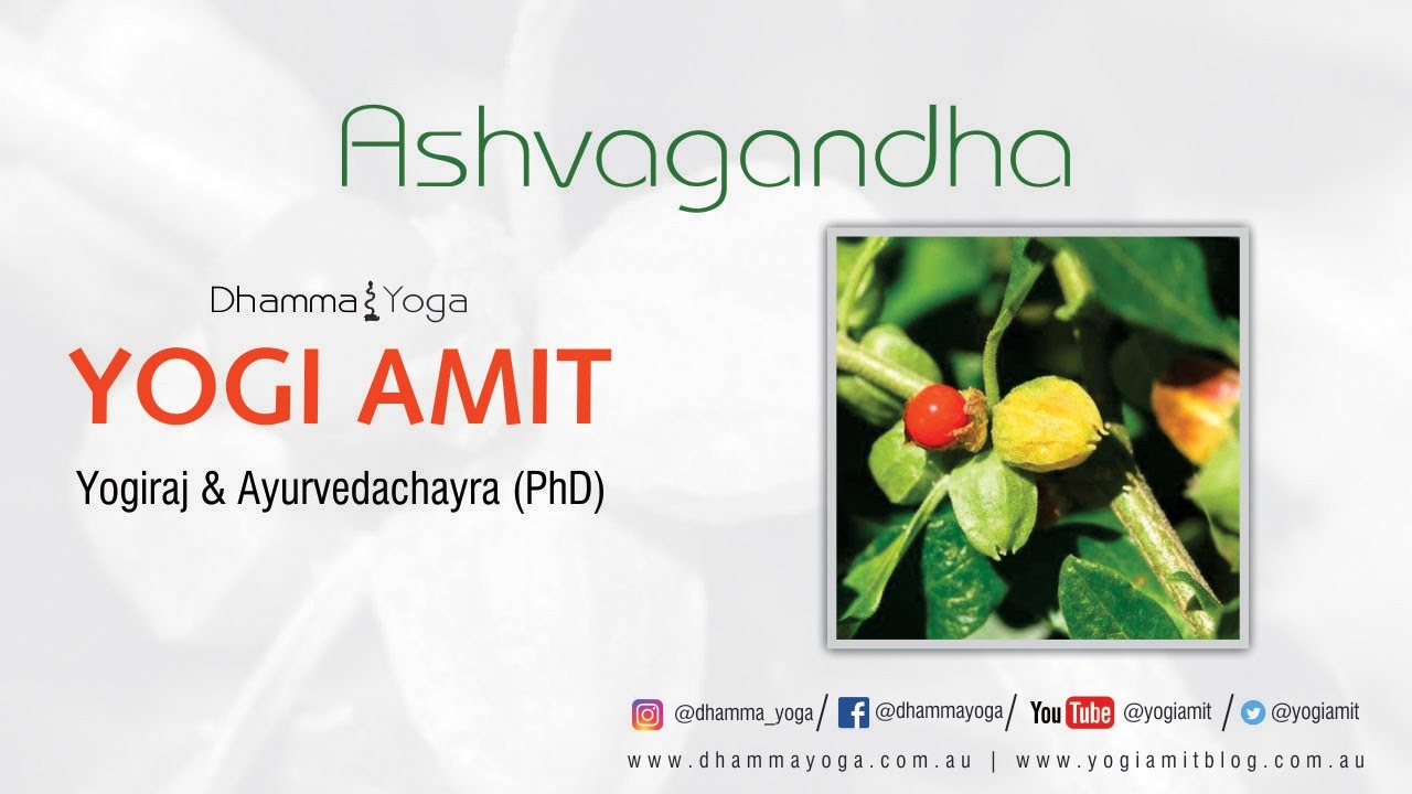 Ashvagandha (King of herbs)