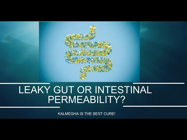 LEAKY GUT